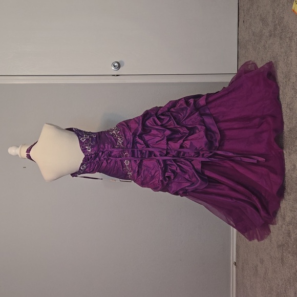 Cinderella Divine Size 18 Ball Gown - Picture 8 of 11